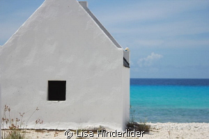 Classic Bonaire
White Slave by Lisa Hinderlider 